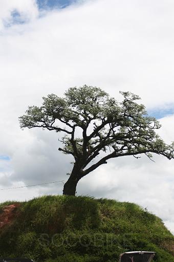 FERA_2009 116.jpg